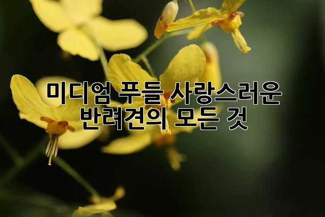 44979fb76ea410c8361bd7cb72e2a8c9.webp