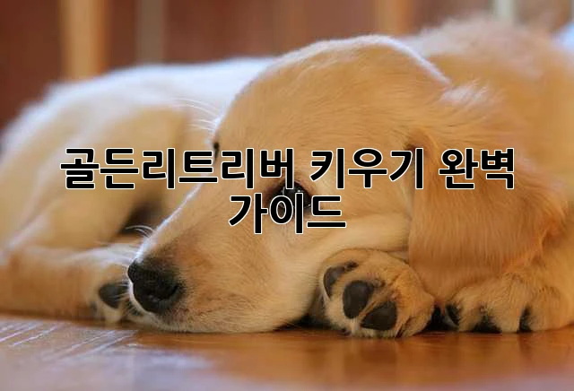 826156d7c7e96ae51e1eb14bcea45943.webp