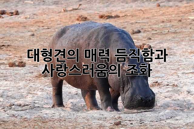 a4d8b66d50a39fc8dd5914286cbd1872.jpg