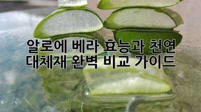 알로에 베라 효능과 천연 대체재 완벽 비교 가이드