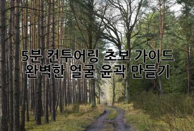 5분 컨투어링 초보 가이드: 완벽한 얼굴 윤곽 만들기