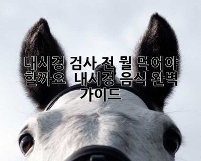 내시경 검사 전, 뭘 먹어야 할까요? 😥 내시경 음식 완벽 가이드!