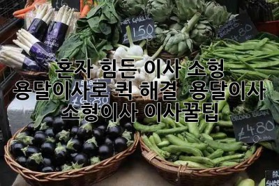 📦 혼자 힘든 이사? 소형 용달이사로 퀵 해결! 💨 #용달이사 #소형이사 #이사꿀팁