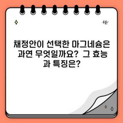 채정안마그네슘: 효과, 부작용, 그리고 선택 가이드