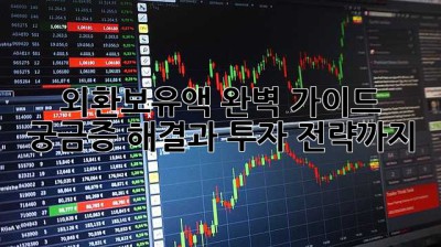 외환보유액 완벽 가이드: 궁금증 해결과 투자 전략까지