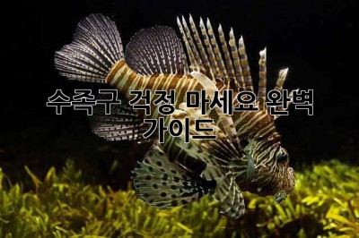 수족구, 걱정 마세요! 완벽 가이드
