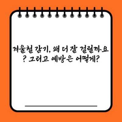 겨울철 감기 뚝! 예방하는 건강한 음식 BEST 10: 면역력 강화, 감기 증상 완화, 겨울철 건강 관리 완벽 가이드