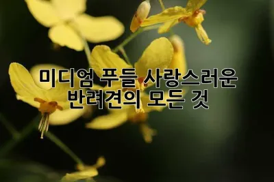 미디엄 푸들: 사랑스러운 반려견의 모든 것