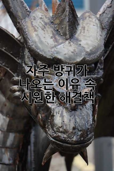 자주 방귀가 나오는 이유: 속 시원한 해결책