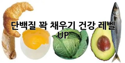 💪 단백질 꽉 채우기! 건강 레벨 UP! 🔥