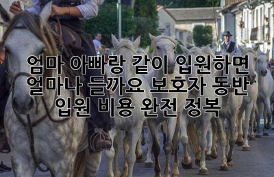 엄마, 아빠랑 같이 입원하면 얼마나 들까요? 보호자 동반 입원 비용 완전 정복!