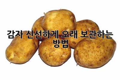 감자, 신선하게 오래 보관하는 방법!