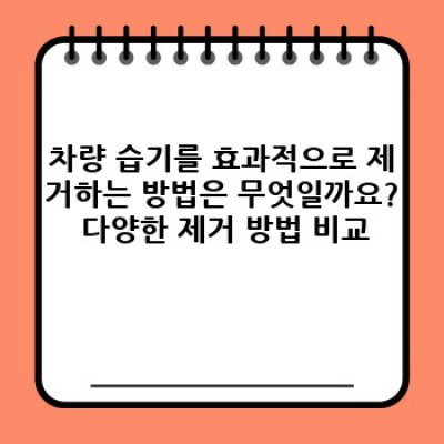 차량 습기 제거 완벽 가이드: 원인, 해결 방법, 예방법 총정리