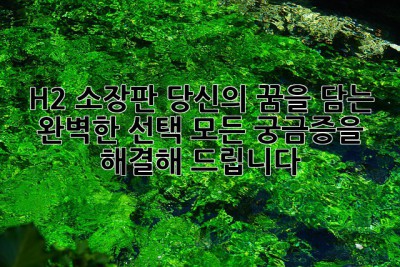 H2 소장판: 당신의 꿈을 담는 완벽한 선택? 모든 궁금증을 해결해 드립니다!