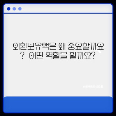외환보유액 완벽 가이드: 궁금증 해소와 활용 전략