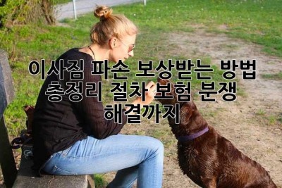 이사짐 파손? 보상받는 방법 총정리: 절차, 보험, 분쟁 해결까지!