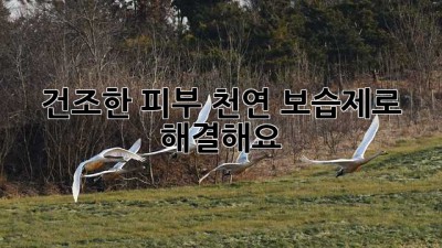 건조한 피부? 천연 보습제로 해결해요!