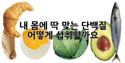 내 몸에 딱 맞는 단백질, 어떻게 섭취할까요? 🤔