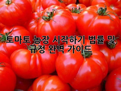 토마토 농장 시작하기: 법률 및 규정 완벽 가이드