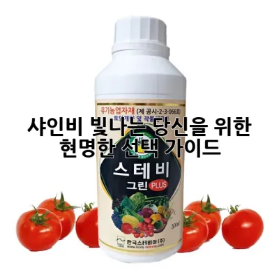 샤인비, 빛나는 당신을 위한 현명한 선택 가이드