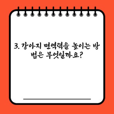 강아지 면역력 높이는 방법: 건강한 댕댕이를 위한 완벽 가이드
