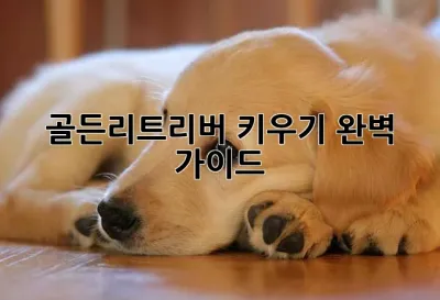 골든리트리버 키우기 완벽 가이드