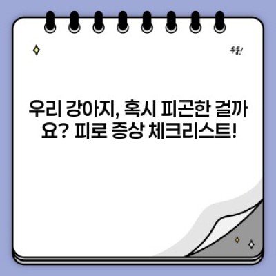 강아지 피로회복: 댕댕이 활력 되찾기 완벽 가이드