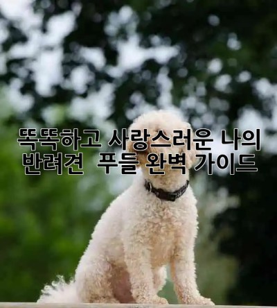 똑똑하고 사랑스러운 나의 반려견 🐩 푸들 완벽 가이드 🐾