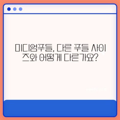 미디엄푸들 완벽 가이드: 궁금증 해결과 함께하는 푸들 입양 가이드