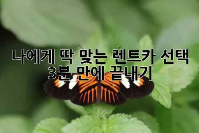 나에게 딱 맞는 렌트카 선택, 3분 만에 끝내기! 🚗💨