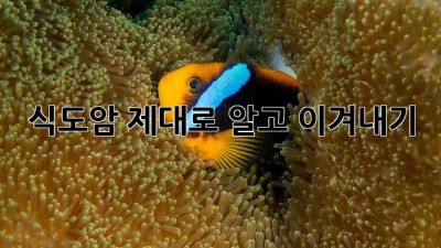 식도암, 제대로 알고 이겨내기