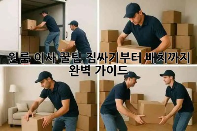 원룸 이사 꿀팁🍯: 짐싸기부터 배치까지 완벽 가이드!