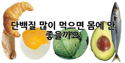 단백질 많이 먹으면 몸에 안 좋을까요? 🤔