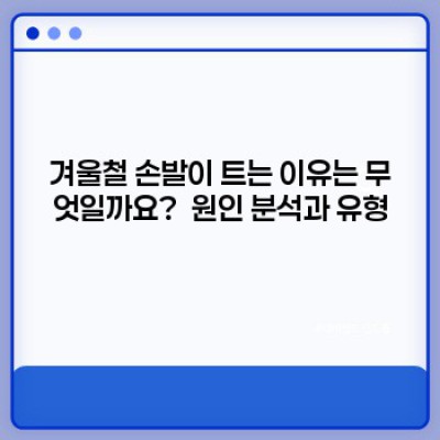 겨울철 손발 건조, 트고 갈라지는 증상 완벽 관리 가이드: 원인, 예방법, 치료법 총정리