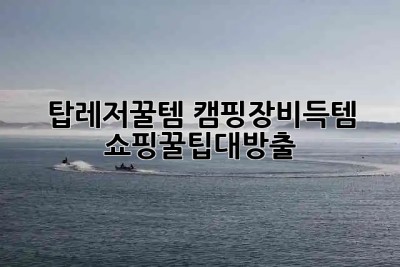 탑레저꿀템 #캠핑장비득템 #쇼핑꿀팁대방출 🏕️🔥