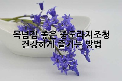 목넘김 좋은 중도라지조청, 건강하게 즐기는 방법
