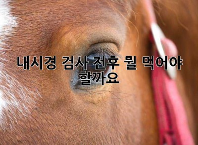 내시경 검사 전후, 뭘 먹어야 할까요? 🤔