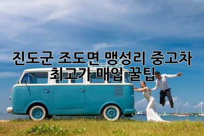 진도군 조도면 맹성리 중고차 최고가 매입 꿀팁!