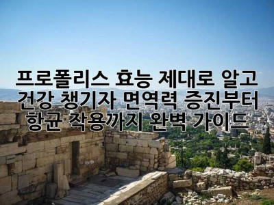 프로폴리스 효능 제대로 알고 건강 챙기자: 면역력 증진부터 항균 작용까지 완벽 가이드
