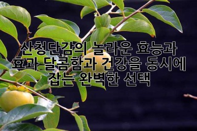 산청단감의 놀라운 효능과 효과: 달콤함과 건강을 동시에 잡는 완벽한 선택