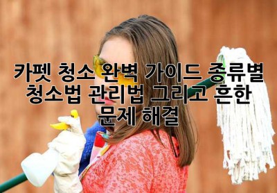 카펫 청소 완벽 가이드: 종류별 청소법, 관리법, 그리고 흔한 문제 해결