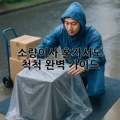 소량이사, 혼자서도 척척! 완벽 가이드