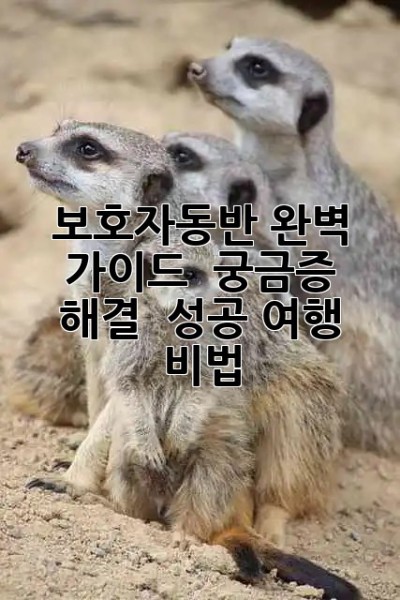 보호자동반 완벽 가이드 ✈️ 궁금증 해결 & 성공 여행 비법!