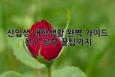 신입생 대학생활 완벽 가이드: 친구, 공부, 꿀팁까지!