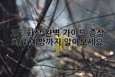 2도 화상 완벽 가이드: 증상, 치료, 예방까지 알아보세요!