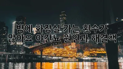 밤에 화장실 가는 횟수가 많아요? 야간뇨 원인과 해결책