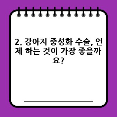 강아지 중성화 수술: 필수인가? 선택인가? 완벽 가이드