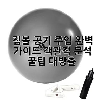 짐볼 공기 주입 완벽 가이드: 객관적 분석 & 꿀팁 대방출!