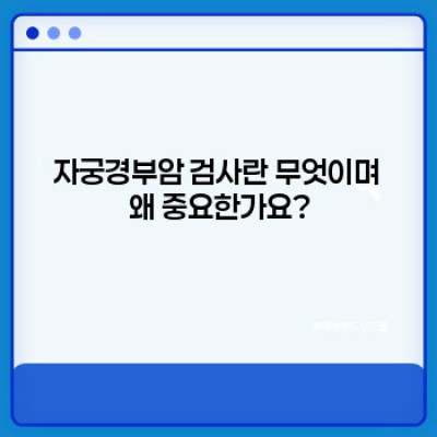 자궁경부암검사 완벽 가이드: 증상, 검사방법, 결과 해석까지!