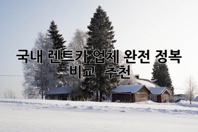 국내 렌트카 업체 완전 정복! 🚗💨 비교 & 추천